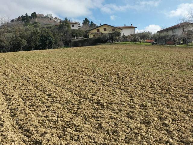 Terreno in vendita a Collecorvino, Abruzzo