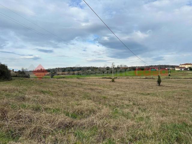 Terreno in vendita a Collesalvetti, Toscana