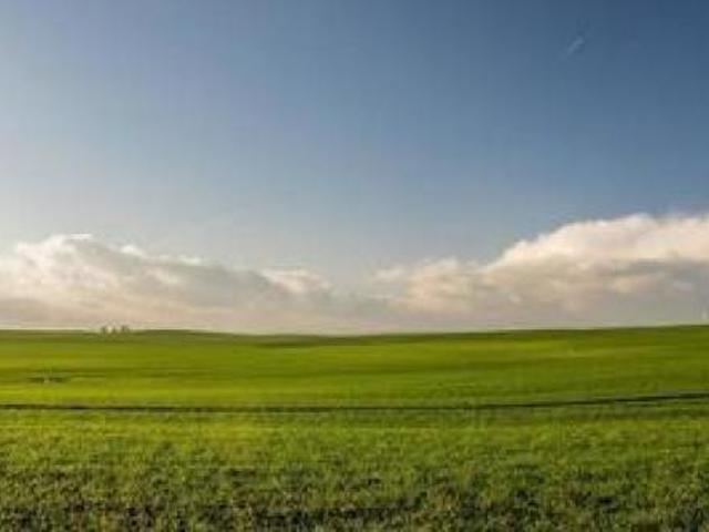 Terreno in vendita a Collesalvetti, Toscana