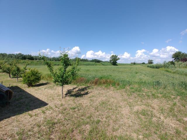 Terreno in vendita a Collesalvetti, Toscana