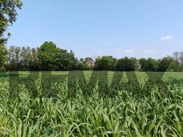 Terreno in vendita a Cologno Al Serio, Lombardia