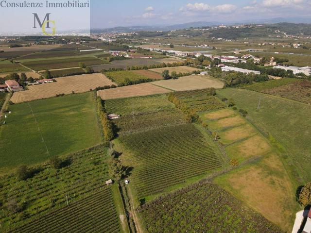 Terreno in vendita a Soave, Veneto