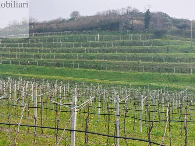 Terreno in vendita a Villa, Colognola Ai Colli
