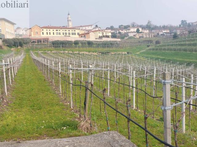 Terreno in vendita a Villa, Colognola Ai Colli