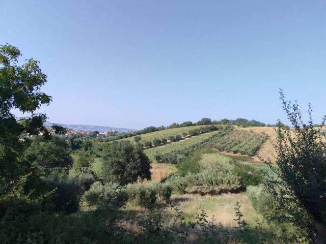 Terreno in vendita a Unione dei Comuni della Val Vibrata, Controguerra