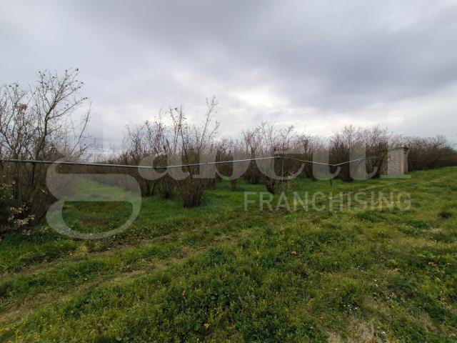 Terreno in vendita a Corchiano, Lazio