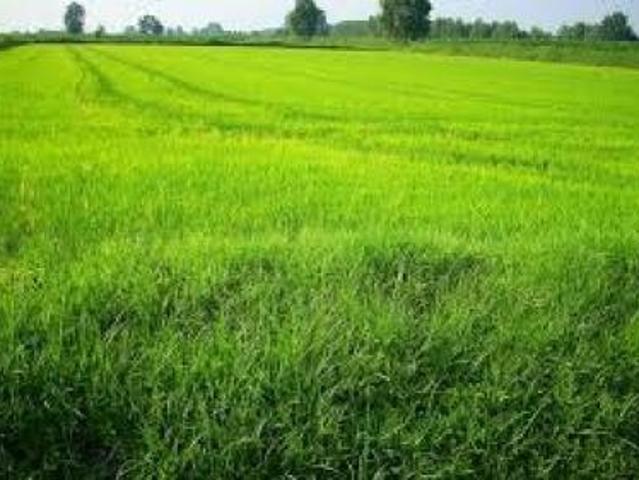 Terreno in vendita a Cornate D'adda, Lombardia