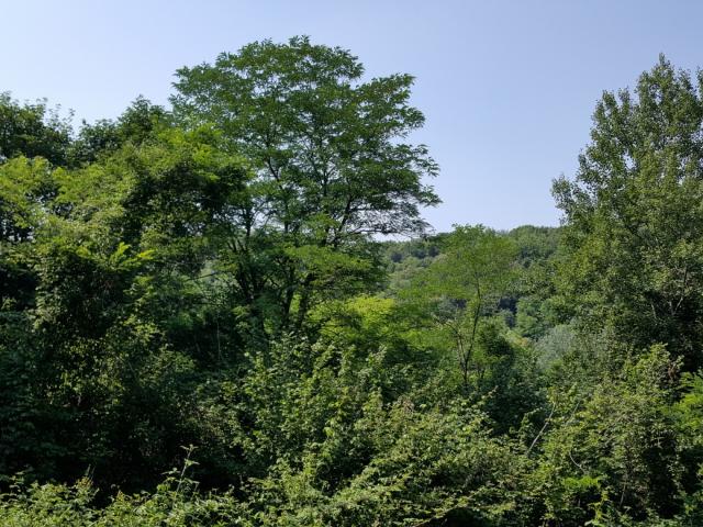 Terreno in vendita a Cornuda, Veneto