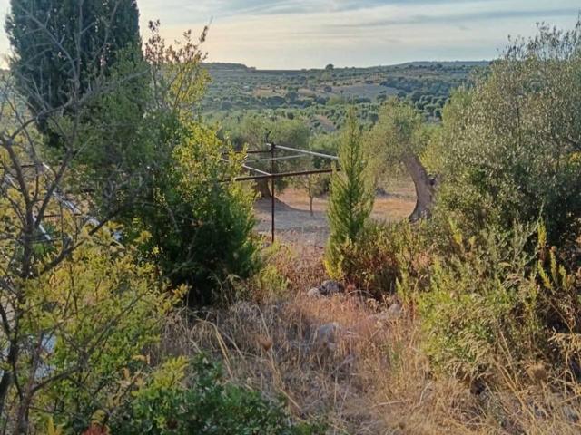 Terreno in vendita a Crispiano, Taranto