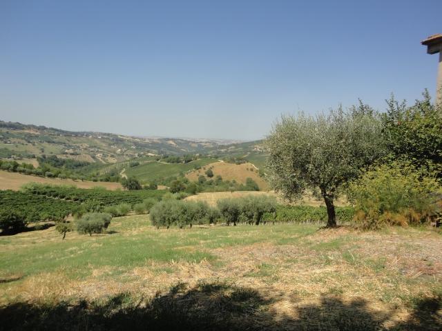Terreno in vendita a Marche, Ancona