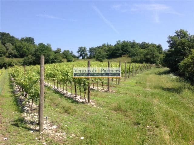 Terreno in vendita a Bornade di Sopra, Desenzano Del Garda