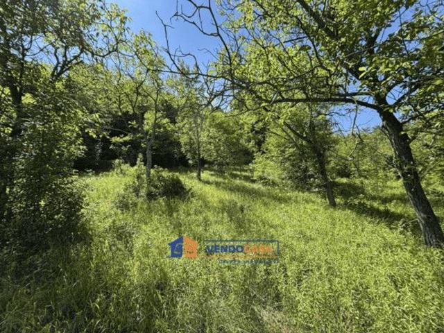Terreno in vendita a Piemonte, Cuneo