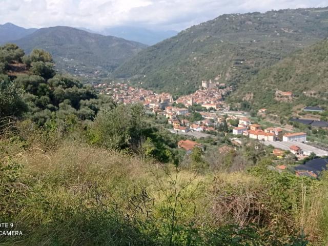 Terreno in vendita a Dolceacqua, Liguria
