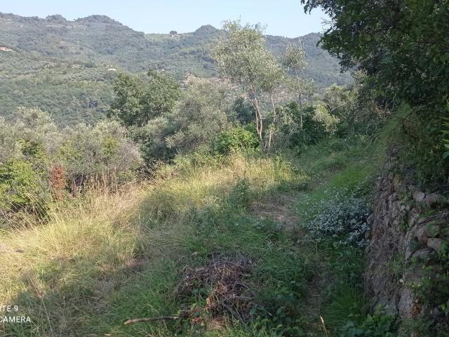 Terreno in vendita a Dolceacqua, Liguria