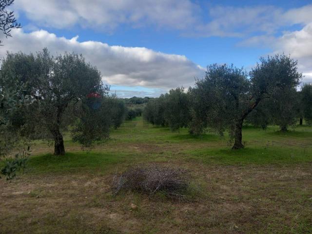 Terreno in vendita a Soleminis, Sardigna/Sardegna