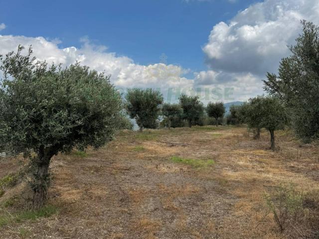 Terreno in vendita a Caianello, Campania