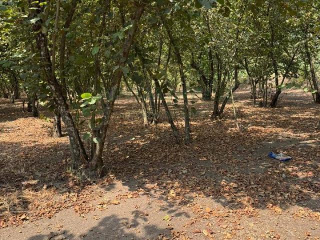 Terreno in vendita a Marzano di Nola, Avellino