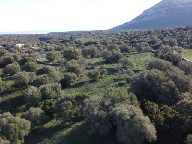 Terreno in vendita a Dorgali, Sardigna/Sardegna