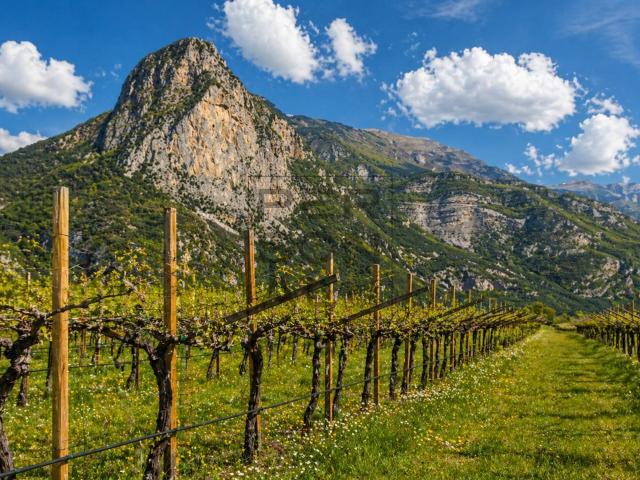 Terreno in vendita a Comunità Alto Garda e Ledro, Dro