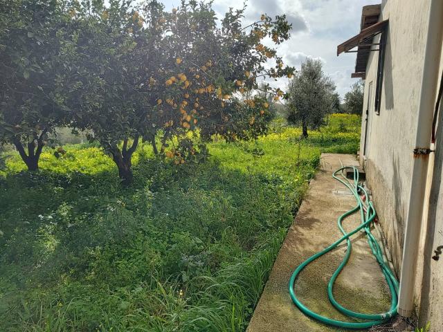 Terreno in vendita a Eboli, Campania