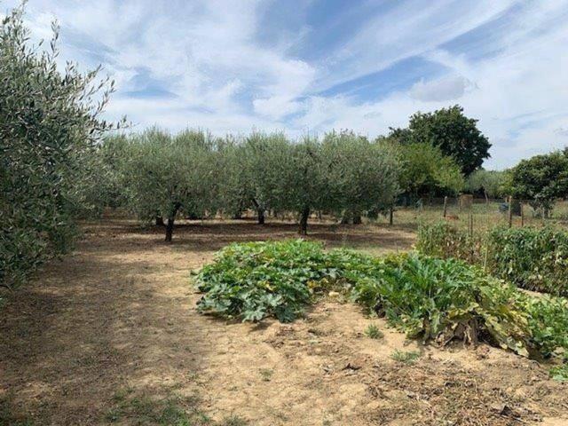 Terreno in vendita a Unione dei Comuni Circondario dell'Empolese Valdelsa, Empoli