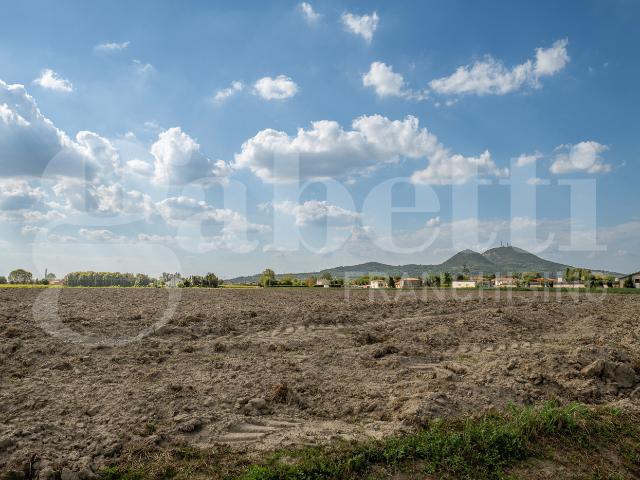 Terreno in vendita a Motta, Este