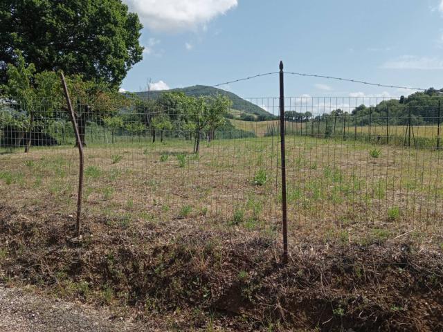 Terreno in vendita a Marche, Ancona