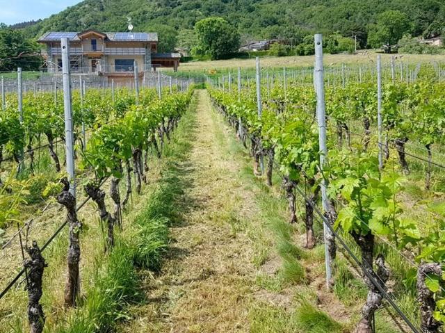 Terreno in vendita a Unione della Romagna Faentina, Faenza
