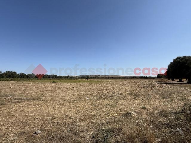 Terreno in vendita a Puglia, Taranto