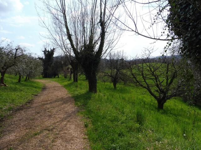 Terreno in vendita a Fara Vicentino, Veneto