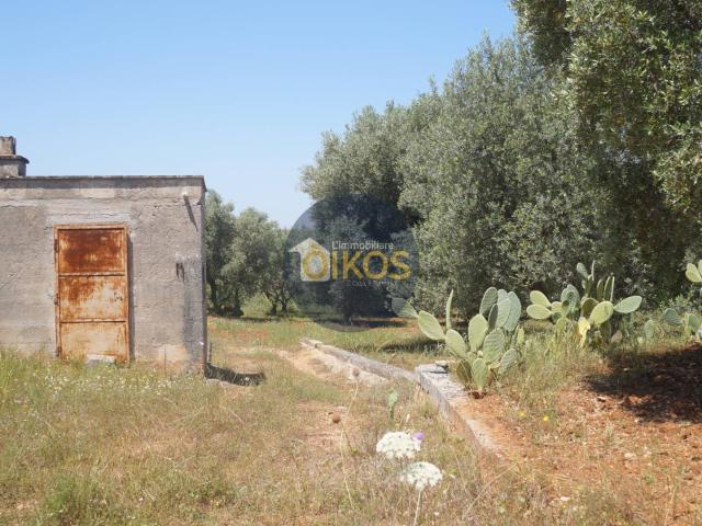 Terreno in vendita a Savelletri, Puglia