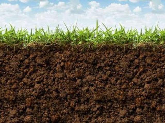Terreno in vendita a Giardino, Ferrara