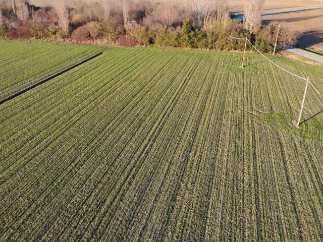 Terreno in vendita a Ferrara, Reggio Emilia