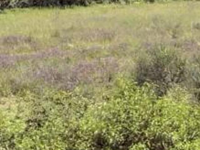 Terreno in vendita a Contrada dell'Istrice, Siena