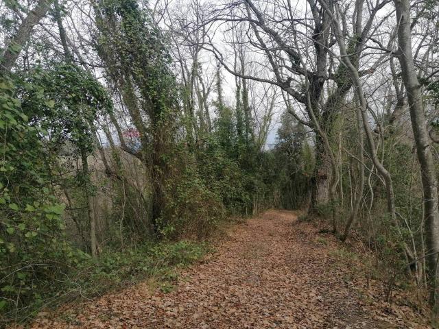 Terreno in vendita a Filetto, Abruzzo