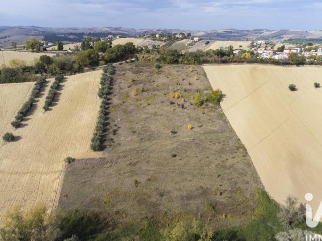 Terreno in vendita a Montoro, Marche