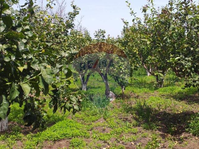 Terreno in vendita a Fiumefreddo Di Sicilia, Sicilia