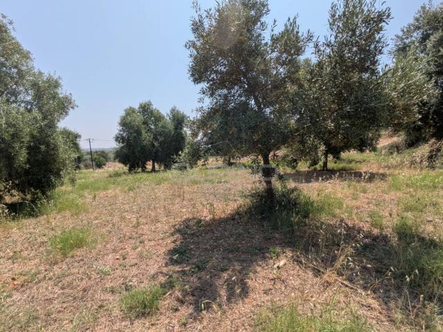 Terreno in vendita a Marchesa, Floridia
