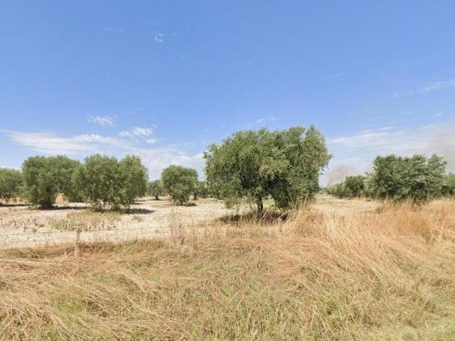 Terreno in vendita a Arpinova, Foggia