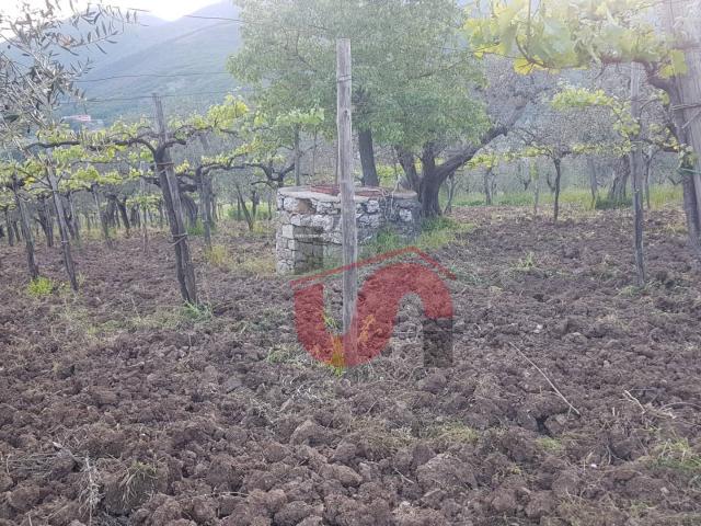 Terreno in vendita a Foglianise, Campania
