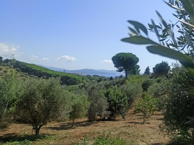 Terreno in vendita a Follonica, Toscana