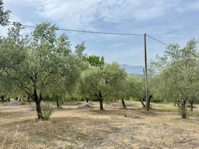 Terreno in vendita a Terre dell’Ufita, Fontanarosa