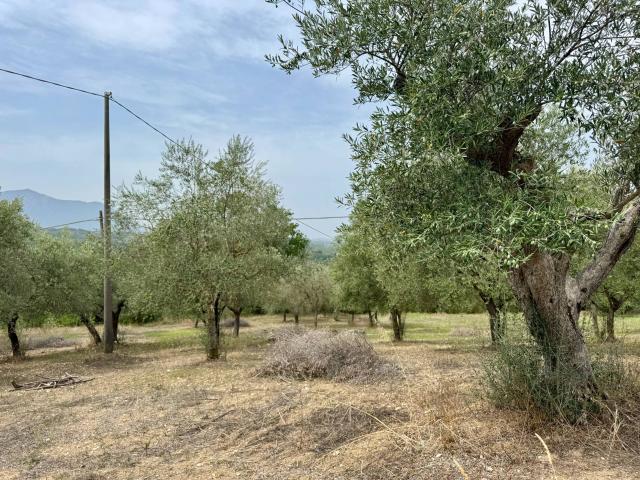Terreno in vendita a Terre dell’Ufita, Fontanarosa