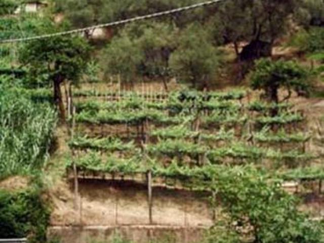 Terreno in vendita a Carrara, Toscana