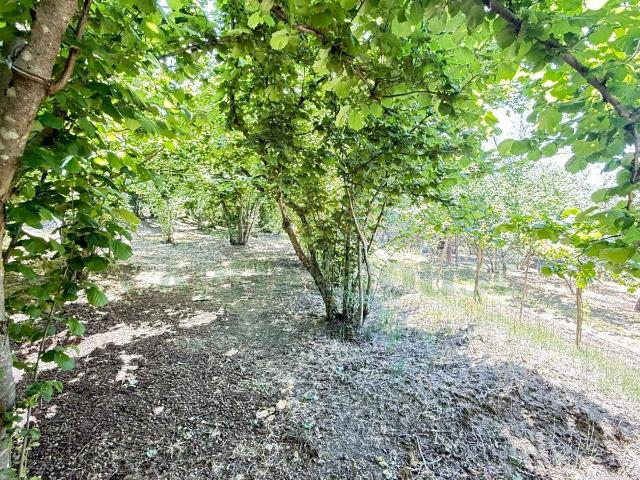 Terreno in vendita a Forino, Campania