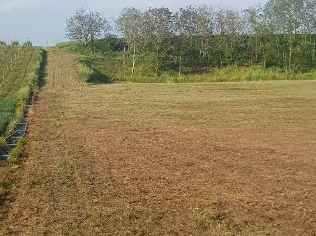 Terreno in vendita a Unione di Comuni della Romagna Forlivese, Quattro
