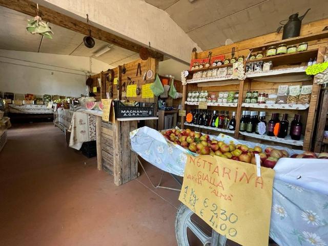 Terreno in vendita a Unione di Comuni della Romagna Forlivese, Quattro