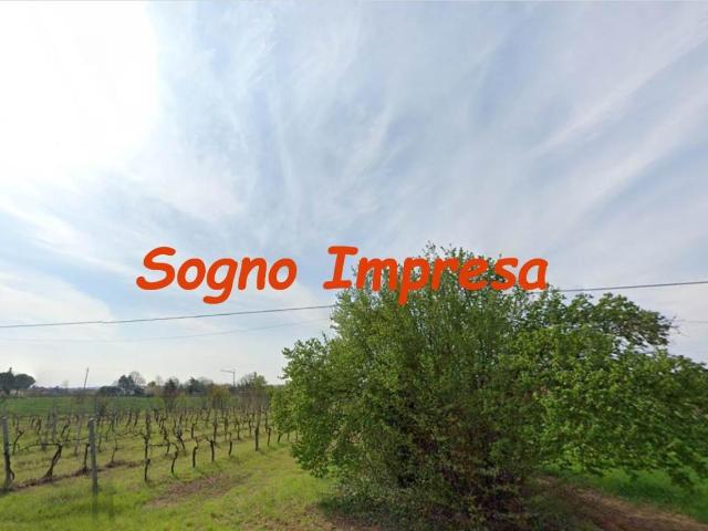 Terreno in vendita a Unione di Comuni della Romagna Forlivese, Quattro