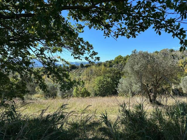 Terreno in vendita a Fornelli, Molise