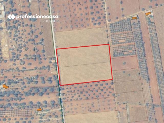 Terreno in vendita a Puglia, Brindisi